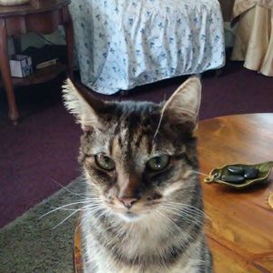 Meet your Posher, William